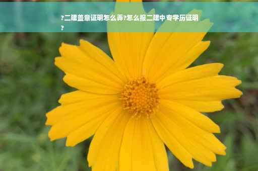 ?二建盖章证明怎么弄?怎么报二建中专学历证明
?