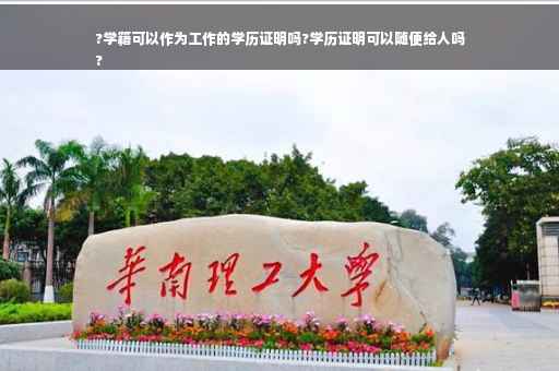 ?学籍可以作为工作的学历证明吗?学历证明可以随便给人吗
?