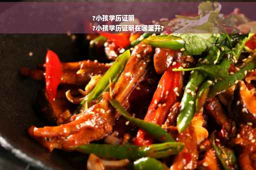 ?小孩学历证明
?小孩学历证明在哪里开?