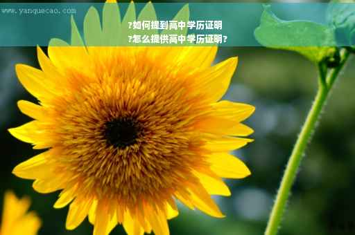 ?如何提到高中学历证明
?怎么提供高中学历证明?
