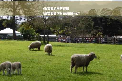 ?政审要的学历证明
?政审要的学历证明是什么?