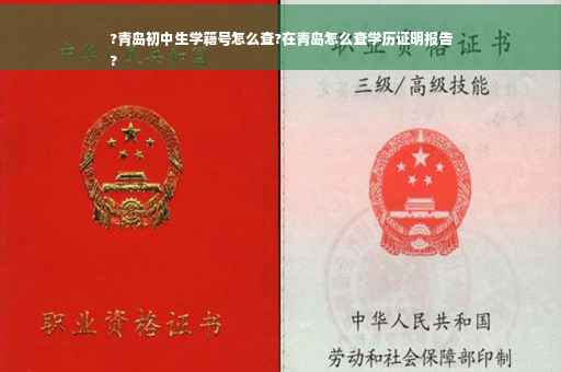 ?青岛初中生学籍号怎么查?在青岛怎么查学历证明报告
?