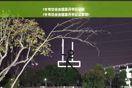 ?中专毕业去哪里开学历证明
?中专毕业去哪里开学历证明呢?