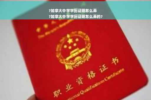 ?加拿大中学学历证明怎么弄
?加拿大中学学历证明怎么弄的?