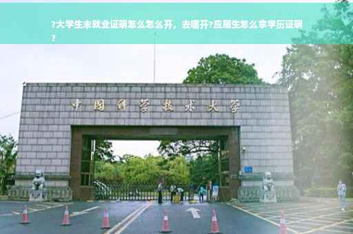 ?大学生未就业证明怎么怎么开，去哪开?应届生怎么拿学历证明
?