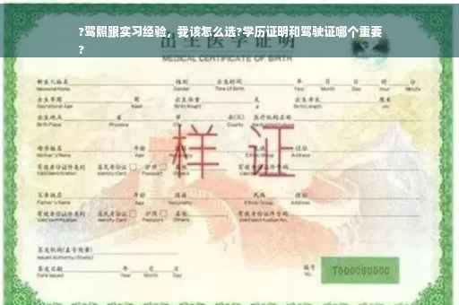 ?驾照跟实习经验，我该怎么选?学历证明和驾驶证哪个重要
?