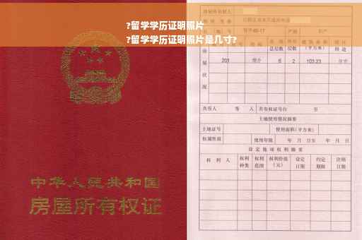 ?留学学历证明照片
?留学学历证明照片是几寸?