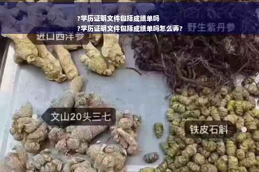 ?学历证明文件包括成绩单吗
?学历证明文件包括成绩单吗怎么弄?