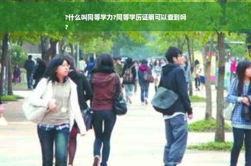?什么叫同等学力?同等学历证明可以查到吗
?