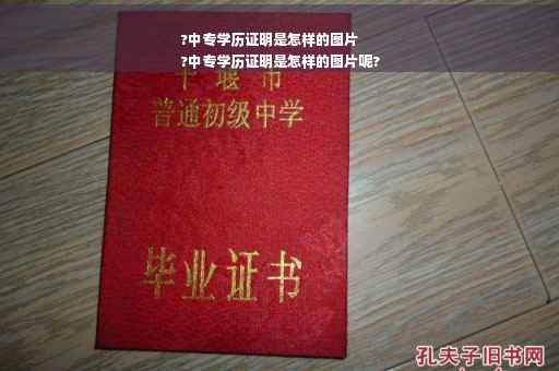?中专学历证明是怎样的图片
?中专学历证明是怎样的图片呢?