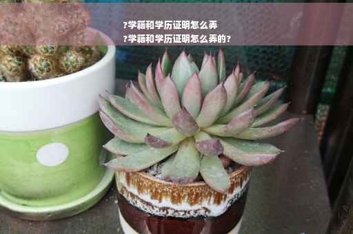 ?学籍和学历证明怎么弄
?学籍和学历证明怎么弄的?