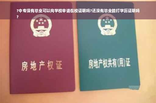 ?中专没有毕业可以向学校申请在校证明吗?还没有毕业能打学历证明吗
?