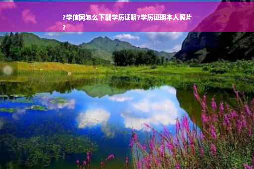 ?学信网怎么下载学历证明?学历证明本人照片
?