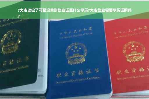 ?大专读完了可是没拿到毕业证算什么学历?大专毕业需要学历证明吗
?