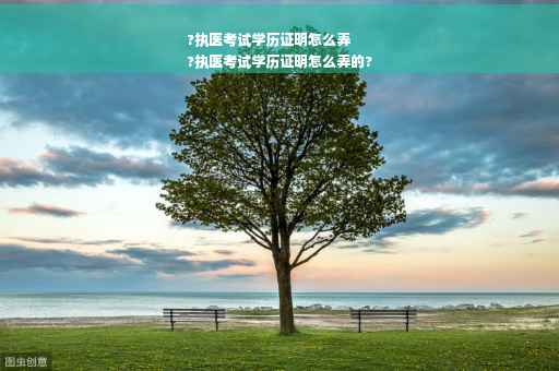 ?执医考试学历证明怎么弄
?执医考试学历证明怎么弄的?