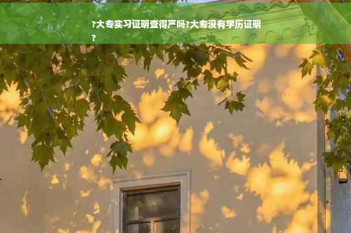 ?大专实习证明查得严吗?大专没有学历证明
?