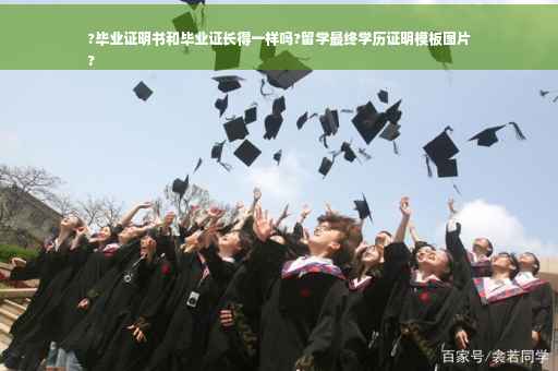 ?毕业证明书和毕业证长得一样吗?留学最终学历证明模板图片
?