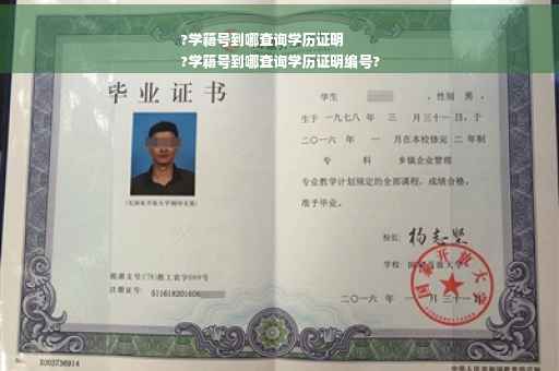 ?学籍号到哪查询学历证明
?学籍号到哪查询学历证明编号?