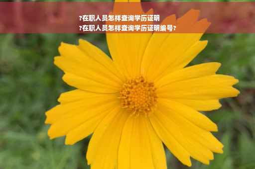 ?在职人员怎样查询学历证明
?在职人员怎样查询学历证明编号?