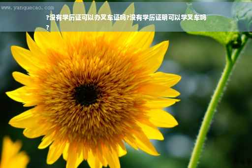 ?没有学历证可以办叉车证吗?没有学历证明可以学叉车吗
?