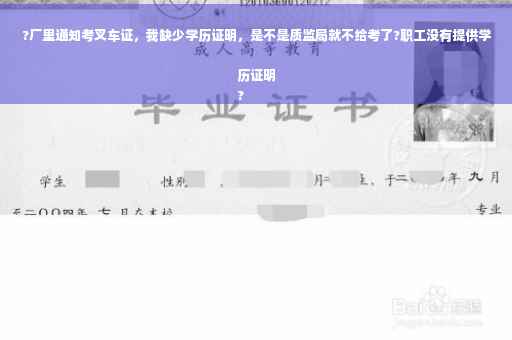 ?厂里通知考叉车证，我缺少学历证明，是不是质监局就不给考了?职工没有提供学历证明
?