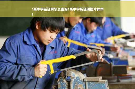 ?高中学籍证明怎么查询?高中学历证明图片样本
?