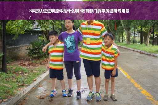 ?学历认证证明原件是什么啊?教育部门的学历证明专用章
?