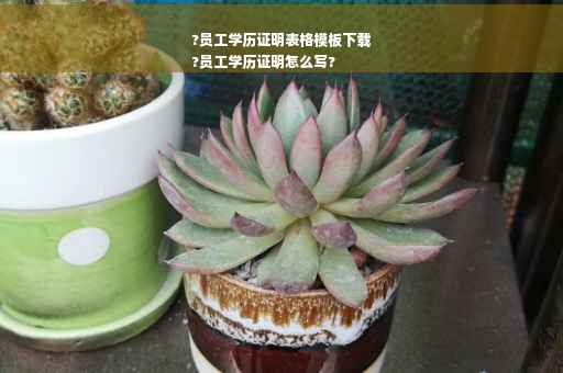 ?员工学历证明表格模板下载
?员工学历证明怎么写?