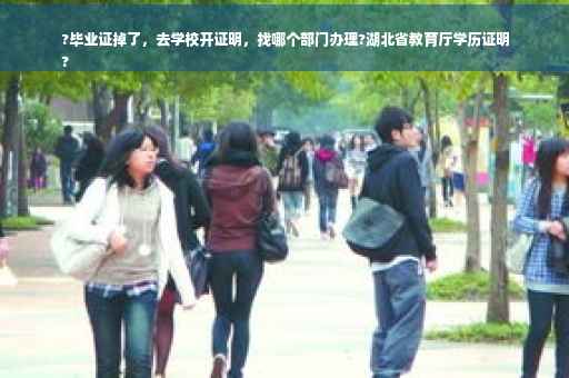 ?毕业证掉了，去学校开证明，找哪个部门办理?湖北省教育厅学历证明
?