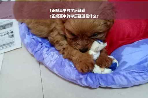 ?正规高中的学历证明
?正规高中的学历证明是什么?