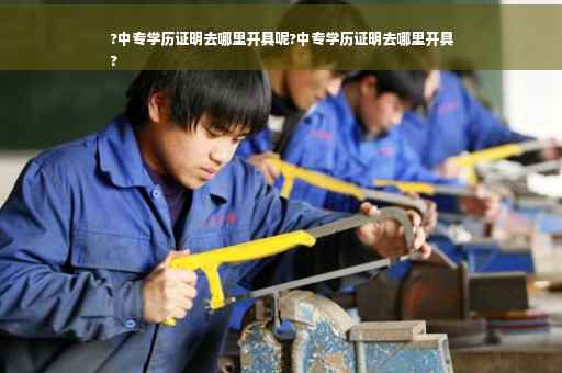 ?中专学历证明去哪里开具呢?中专学历证明去哪里开具
?