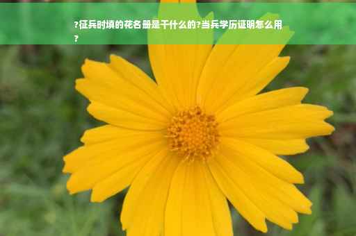 ?征兵时填的花名册是干什么的?当兵学历证明怎么用
?