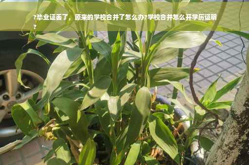 ?毕业证丢了，原来的学校合并了怎么办?学校合并怎么开学历证明
?