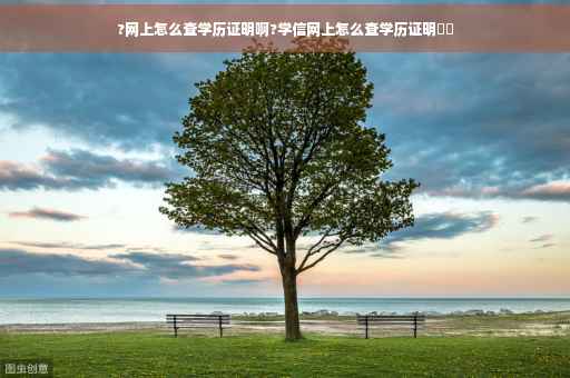 ?网上怎么查学历证明啊?学信网上怎么查学历证明⚡️