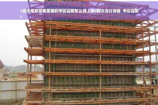 ?会计信息采集里面的学历证明怎么传上去?四大会计师楼  学历证明
?