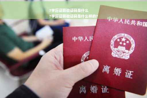 ?学历证明验证码是什么
?学历证明验证码是什么样的?