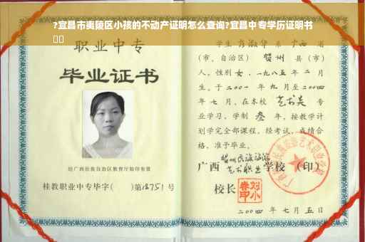 ?宜昌市夷陵区小孩的不动产证明怎么查询?宜昌中专学历证明书
⚡️