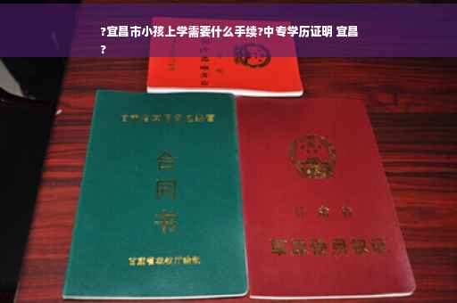?宜昌市小孩上学需要什么手续?中专学历证明 宜昌
?