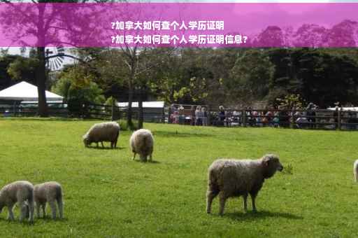 ?加拿大如何查个人学历证明
?加拿大如何查个人学历证明信息?
