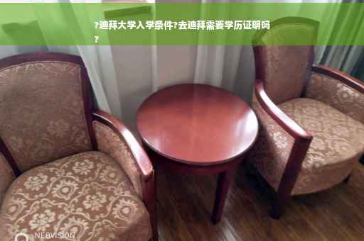 ?迪拜大学入学条件?去迪拜需要学历证明吗
?