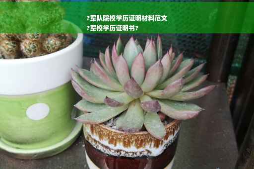 ?军队院校学历证明材料范文
?军校学历证明书?