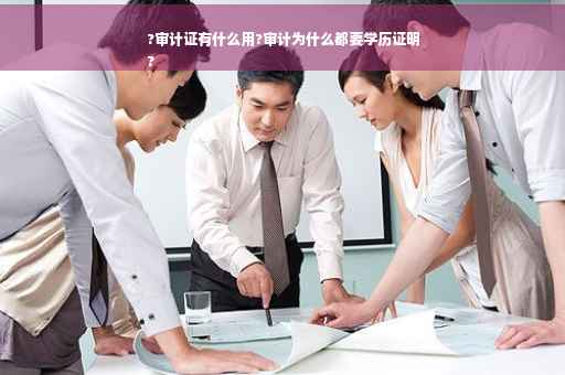 ?审计证有什么用?审计为什么都要学历证明
?