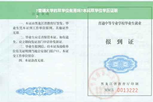 ?普通大学的双学位有用吗?本科双学位学历证明
?