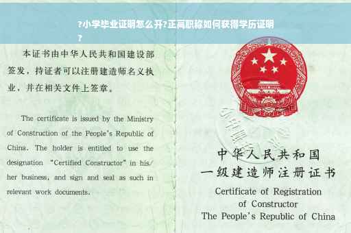 ?小学毕业证明怎么开?正高职称如何获得学历证明
?