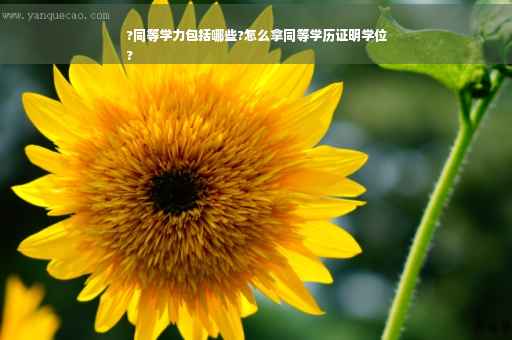 ?同等学力包括哪些?怎么拿同等学历证明学位
?
