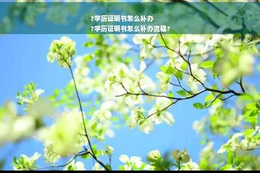 ?学历证明书怎么补办
?学历证明书怎么补办流程?