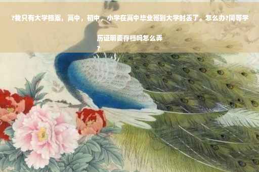 ?我只有大学档案，高中，初中，小学在高中毕业寄到大学时丢了。怎么办?同等学历证明要存档吗怎么弄
?