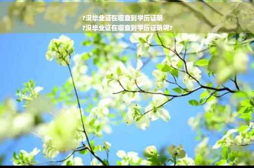 ?没毕业证在哪查到学历证明
?没毕业证在哪查到学历证明呢?