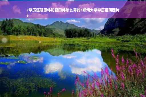 ?学历证明原件和复印件怎么弄的?郑州大学学历证明图片
?