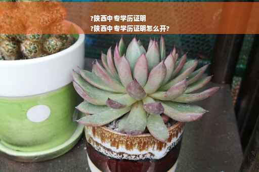 ?陕西中专学历证明
?陕西中专学历证明怎么开?